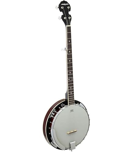 Amazon.co.jp: ARIA アリア 5弦バンジョー REMO Banjo Head SB-10